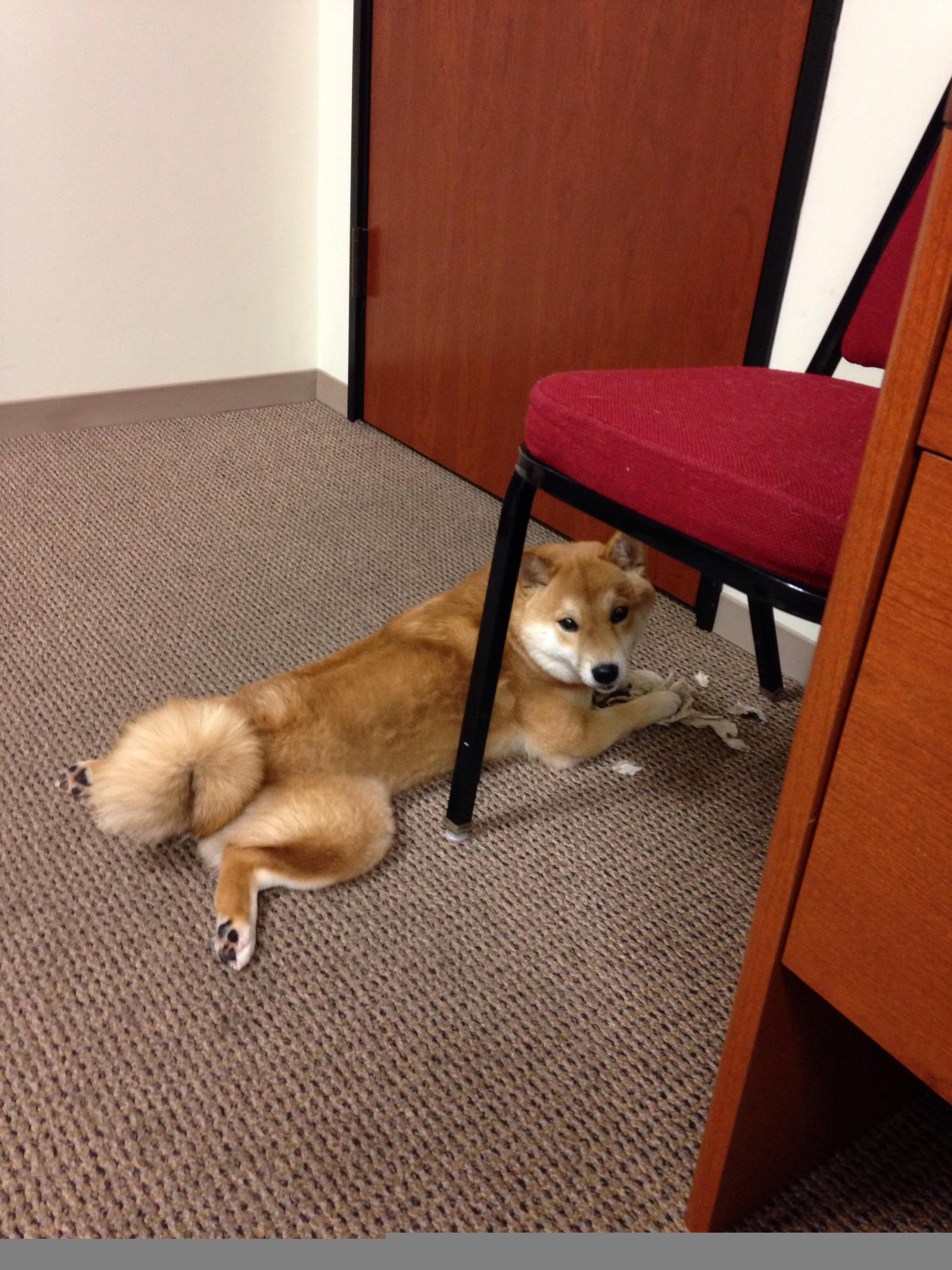 B体育中国官方平台-拜仁后防稳固，零封对手，拜仁新签后卫