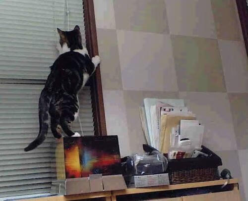 西甲一线球员的个人品牌塑造，西甲明星球员