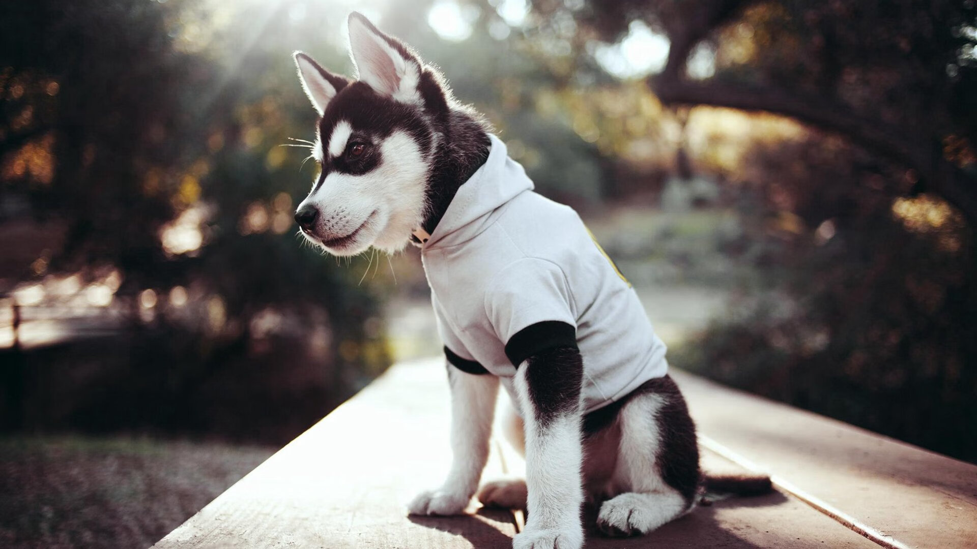 阿根廷年轻力量崭露头角,未来可期待