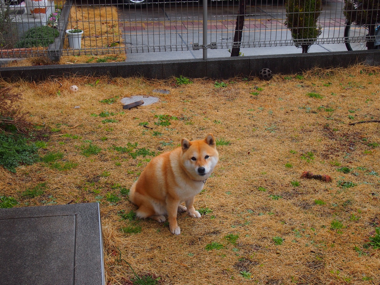 B体育网页版登录-魔术边线发球战术成功助力关键进攻，边线发球世界难题